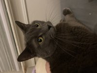 74417243860__8606F264-9AE1-4726-9EB5-55273048C4A2.jpeg