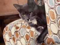 IMG_7765.jpeg