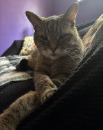 IMG_1055.jpeg