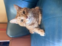 IMG_6461.jpeg