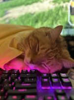IMG_2176.jpeg