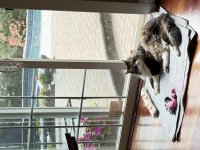 IMG_0470.jpeg