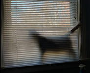 1758562278441.png
