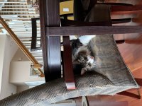 IMG_0485.jpeg