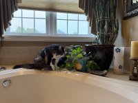 IMG_0493.jpeg
