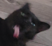 1758833122357.png
