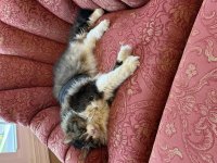 IMG_0503.jpeg