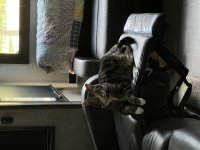 IMG_0756.jpeg