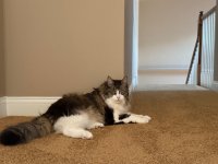 IMG_0550.jpeg