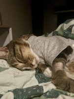 IMG_0915.jpeg