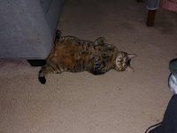 20231211_223503.jpg