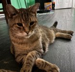 IMG_1509.jpeg