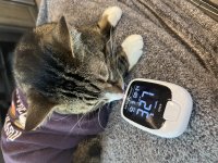 IMG_0999.jpeg