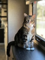 IMG_1015.jpeg