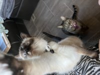 IMG_1022.jpeg