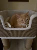 IMG_7622.jpeg