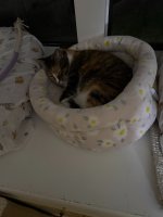 IMG_7621.jpeg