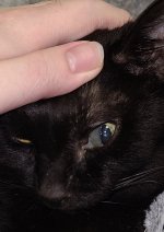 20251016_210750.jpg