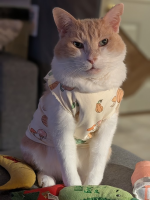 1760708920717.png