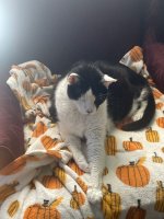 camphoto_1144747756.jpeg