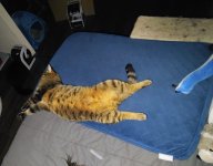 IMG_20251024_232719979_AE~2.jpg