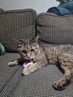 charlie with mouse.jpeg