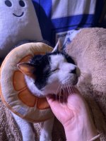 photo_4904571400853588782_y.jpg photo_4904571400853588782_y.jpg