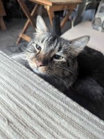 PXL_20251025_172948670.jpg PXL_20251025_172948670.jpg