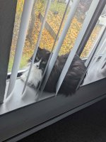 PXL_20251025_161236181.jpg PXL_20251025_161236181.jpg