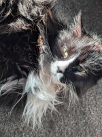 PXL_20251029_160631580.jpg PXL_20251029_160631580.jpg