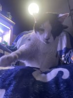 photo_4909372590174964486_y.jpg photo_4909372590174964486_y.jpg