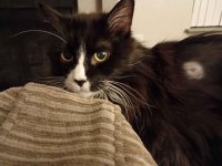 IMG_20251102_191115496.jpg IMG_20251102_191115496.jpg