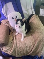 photo_4927324763198262064_y.jpg photo_4927324763198262064_y.jpg