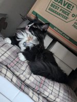 bafkreifs376yga4bnqnsfyf2wworajxpsbc35jqxvhfq37xyidlfrjtvb4.jpg bafkreifs376yga4bnqnsfyf2wworajxpsbc35jqxvhfq37xyidlfrjtvb4.jpg