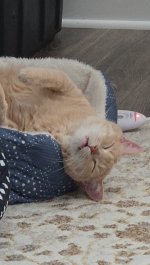 Screenshot_20251208_152216_Video Player (1).jpg