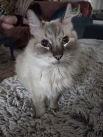 20251209_203637 lightN.jpg