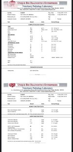 Labs3 - Chiu CBC KFT LFT_13Sep2025.jpeg