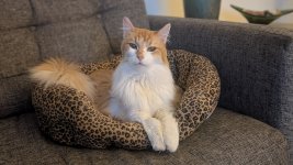 PXL_20250621_031605363.PORTRAIT (1).jpg