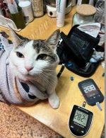 Screenshot 2026-03-04 at 10.20.56.png