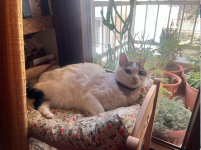 Screenshot 2026-03-12 at 10.28.37.png