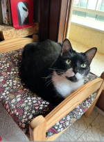 Screenshot 2026-03-13 at 02.50.46.png