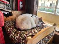 Screenshot 2026-03-13 at 14.42.28.png