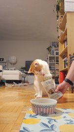 1000149976.jpg