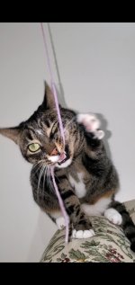 nadie2.jpg nadie2.jpg