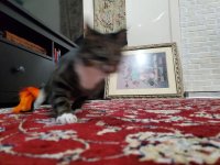 nadie3.jpg nadie3.jpg