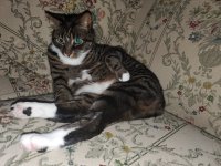 nadie4.jpg nadie4.jpg