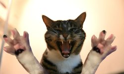 nadie5.jpg nadie5.jpg