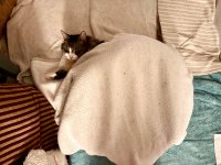 IMG_2965.jpeg
