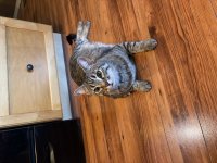 IMG_3699.jpeg