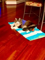 IMG_2966.jpeg